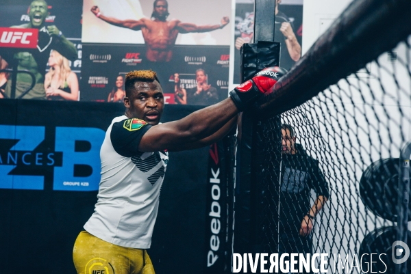 Francis Ngannou