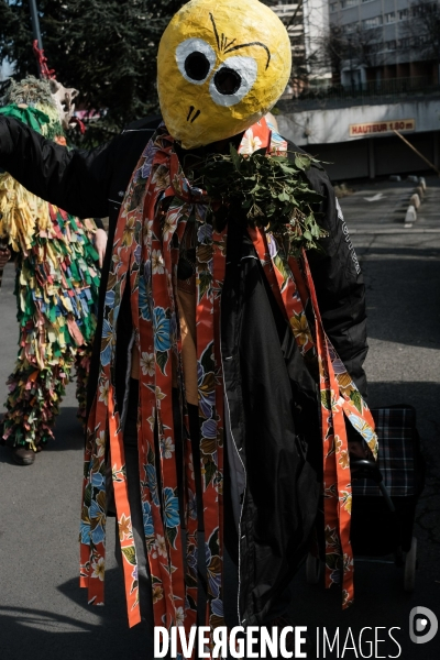 Le Carnaval Touf Ensemble contre les pesticides et les désherbants en ville # Acte 01