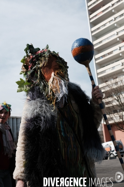 Le Carnaval Touf Ensemble contre les pesticides et les désherbants en ville # Acte 01