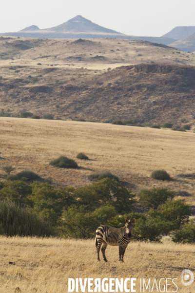 Namibie