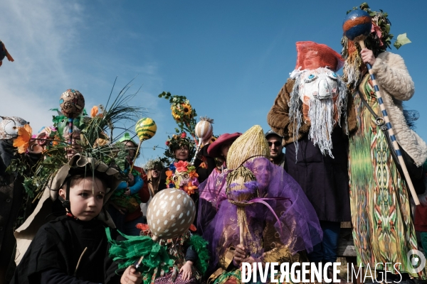 Le Carnaval Touf Ensemble contre les pesticides et les désherbants en ville # Acte 01