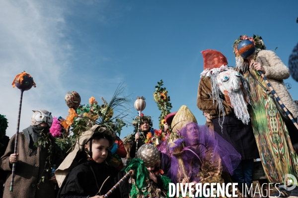 Le Carnaval Touf Ensemble contre les pesticides et les désherbants en ville # Acte 01