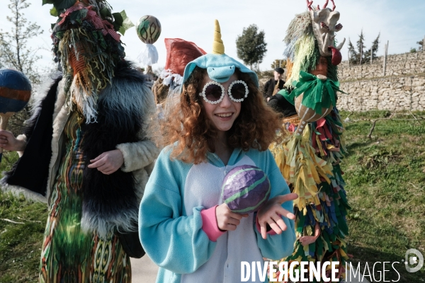 Le Carnaval Touf Ensemble contre les pesticides et les désherbants en ville # Acte 01