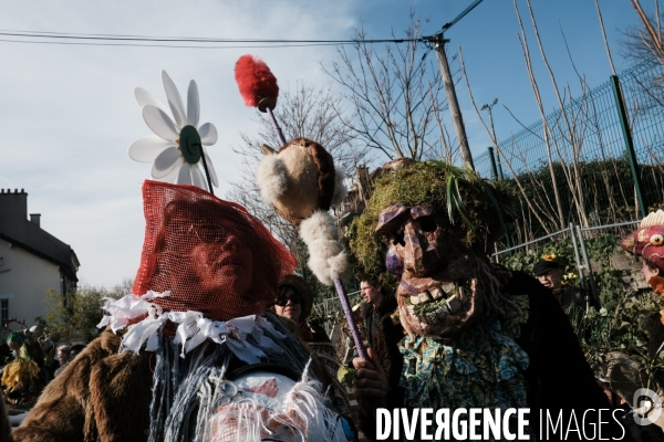 Le Carnaval Touf Ensemble contre les pesticides et les désherbants en ville # Acte 01