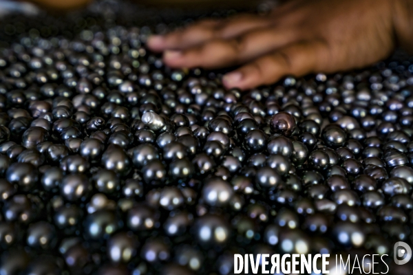 La perle des Gambier, perle noire de Polynésie française