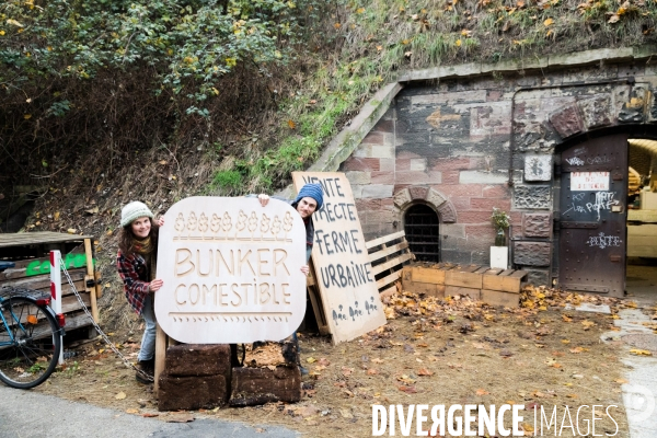 Le Bunker comestible de Strasbourg