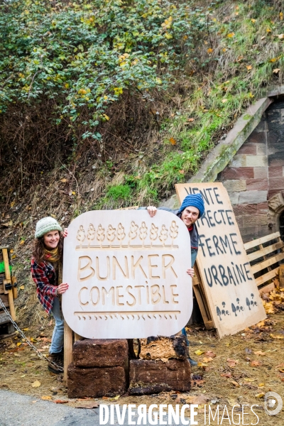 Le Bunker comestible de Strasbourg