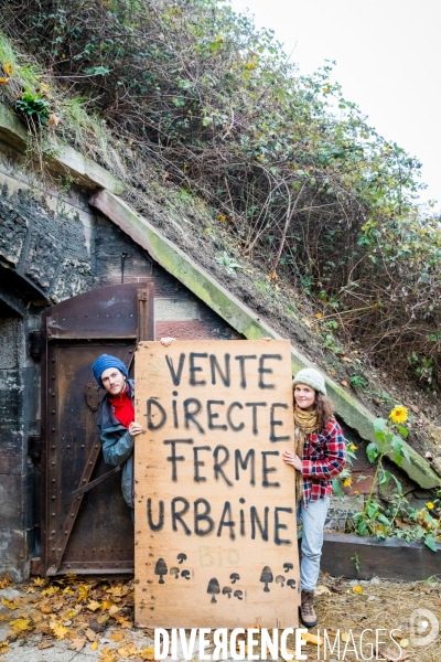 Le Bunker comestible de Strasbourg