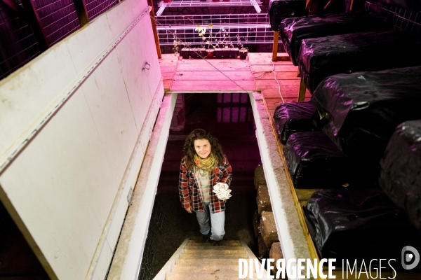 Le Bunker comestible de Strasbourg