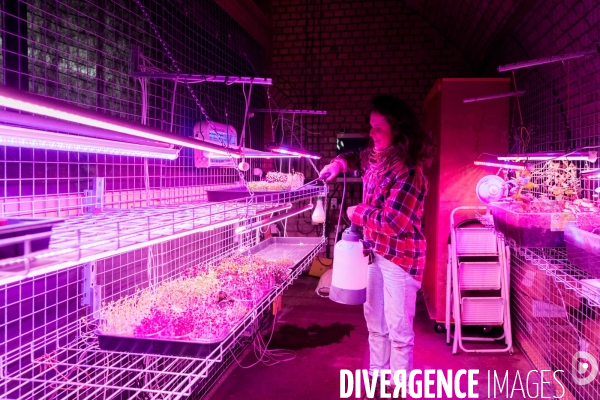 Le Bunker comestible de Strasbourg