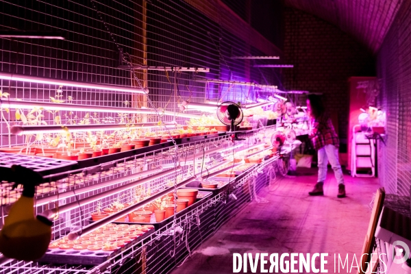 Le Bunker comestible de Strasbourg