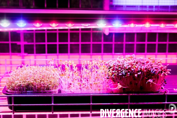 Le Bunker comestible de Strasbourg