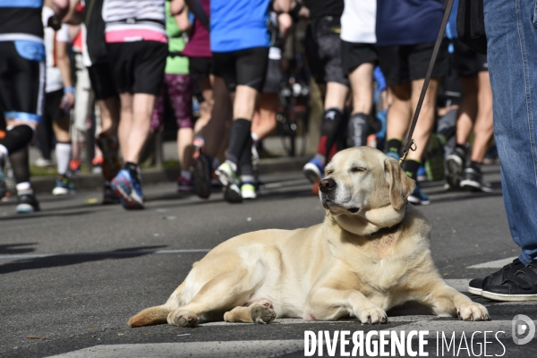 Marathon de Paris