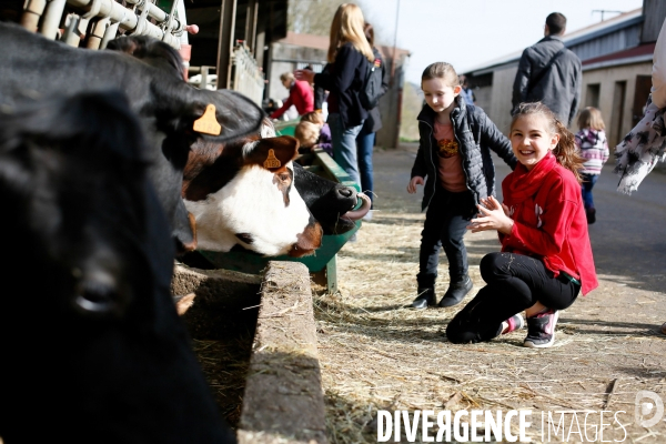 Transhumance et fête de la laine