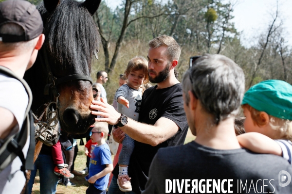 Transhumance et fête de la laine