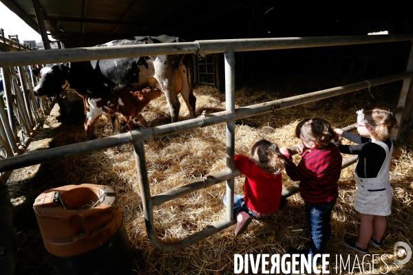 Transhumance et fête de la laine