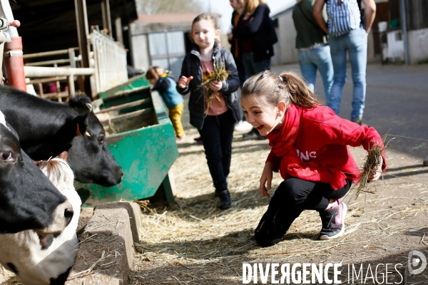 Transhumance et fête de la laine