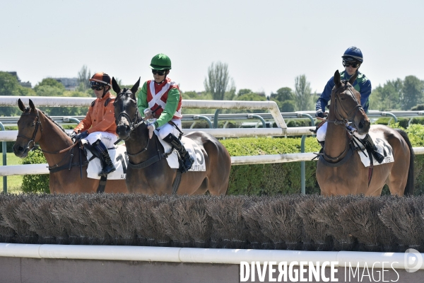 Courses hippiques  de steeple-chase à AUTEUIL