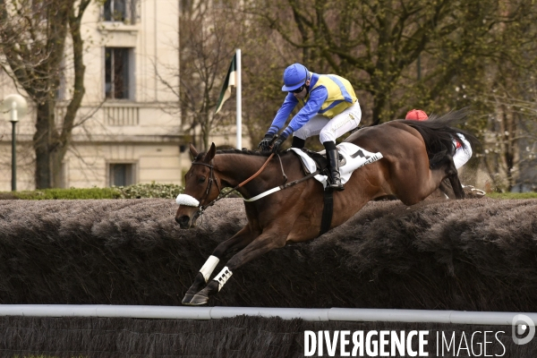 Courses hippiques  de steeple-chase à AUTEUIL