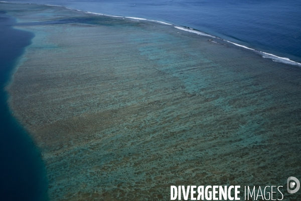 Barrière de corail de Tahiti