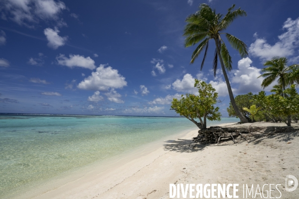 Plage de l atoll de Tetiaroa en Polynésie