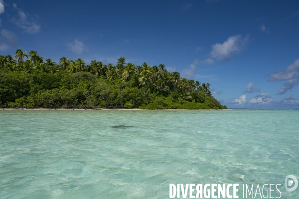 Plage de l atoll de Tetiaroa en Polynésie