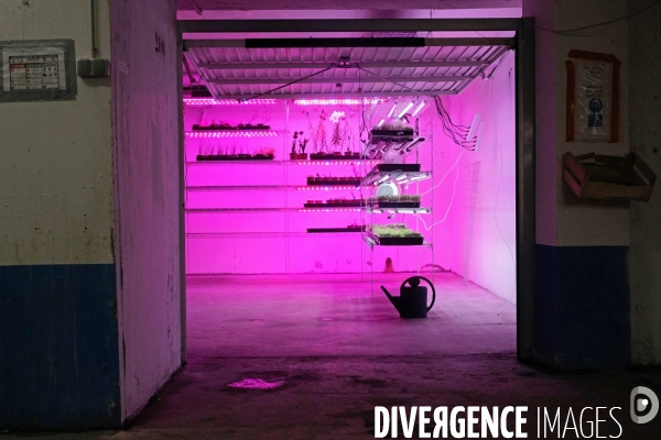 La Caverne, la premiere ferme urbaine dans un parking souterrain