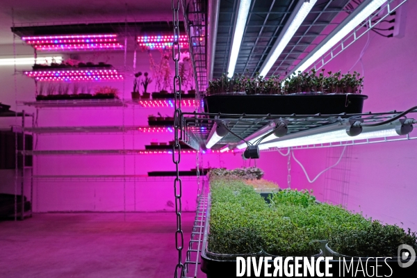 La Caverne, la premiere ferme urbaine dans un parking souterrain