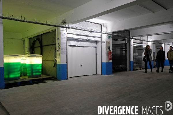 La Caverne, la premiere ferme urbaine dans un parking souterrain