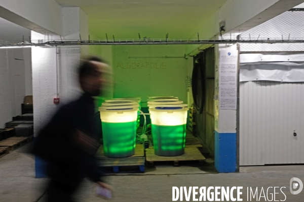 La Caverne, la premiere ferme urbaine dans un parking souterrain