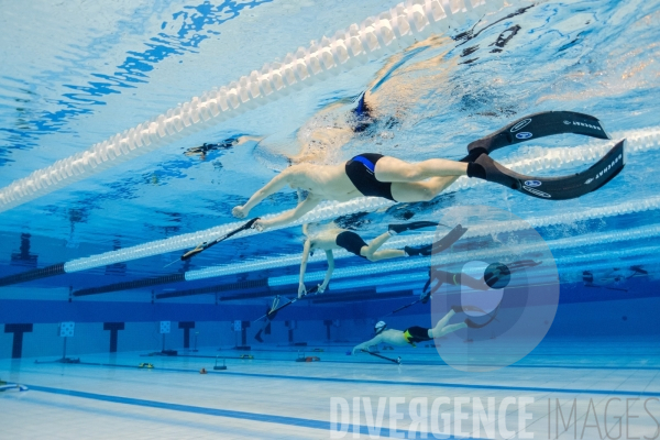 Championnats de France Jeunes de Tir sur Cible Subaquatique