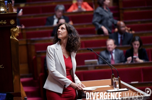 Projet de loi asile et immigration