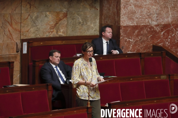 Assemblée nationale projet de loi asile et immigration