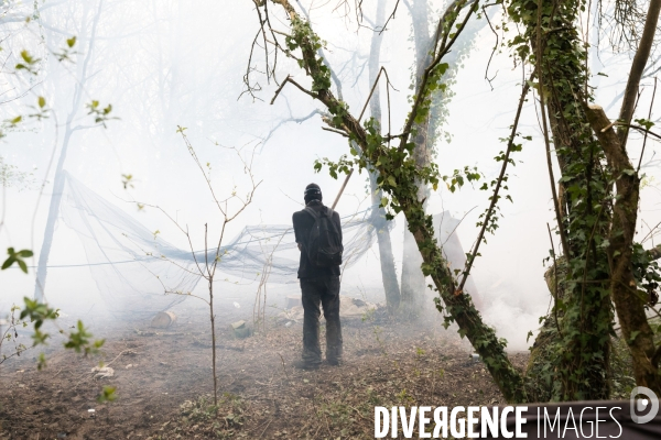 Sur le front de la ZAD à Notre-Dame-des-Landes