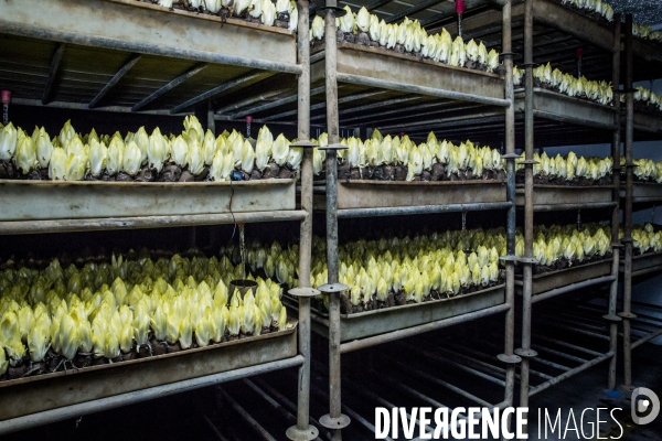 La Caverne, 1ere Ferme Urbaine Souterraine de Paris