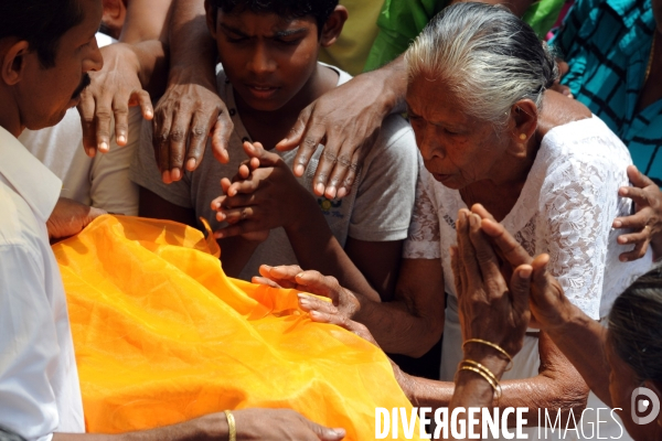 SRI LANKA Sri Maha Bodhi, l arbre Bo sacré du temple du Grand Eveil