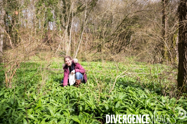 La cabane à plantes de Juliette