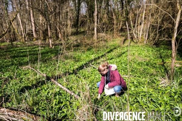 La cabane à plantes de Juliette