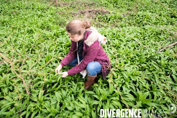 La cabane à plantes de Juliette