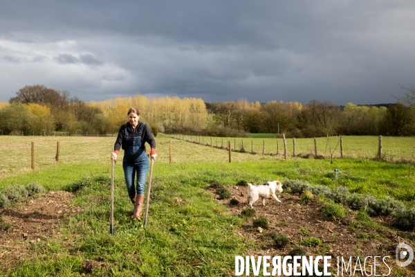 La cabane à plantes de Juliette