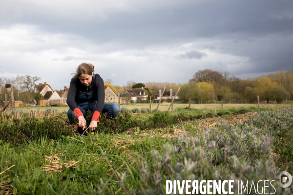 La cabane à plantes de Juliette