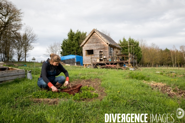 La cabane à plantes de Juliette