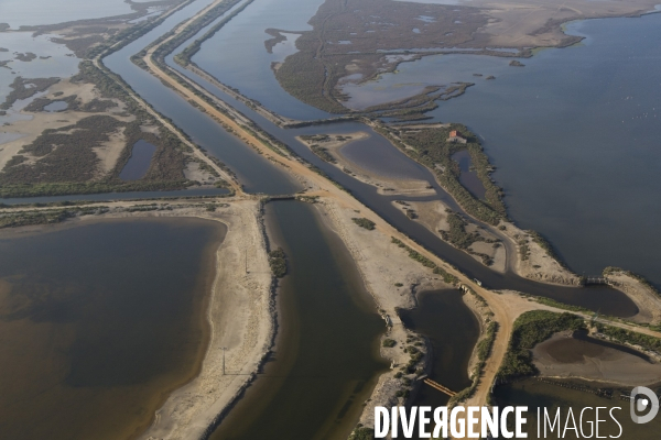 Aigues-Mortes et Port-Camargue