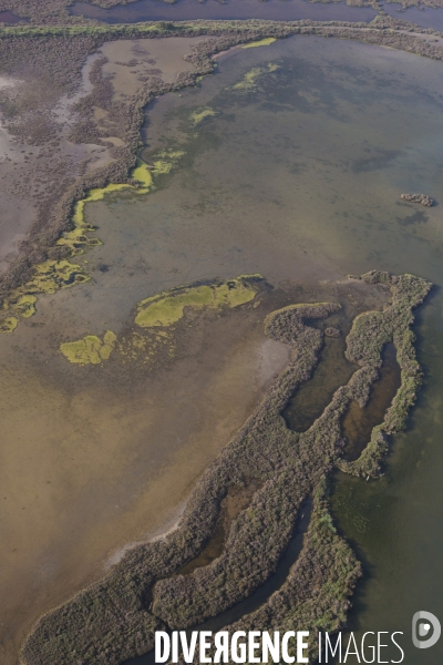 Aigues-Mortes et Port-Camargue