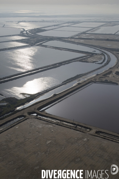 Aigues-Mortes et Port-Camargue