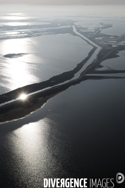 Aigues-Mortes et Port-Camargue