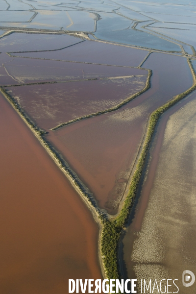 Aigues-Mortes et Port-Camargue