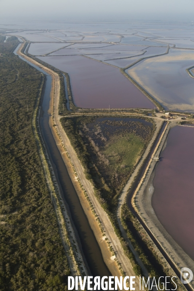 Aigues-Mortes et Port-Camargue