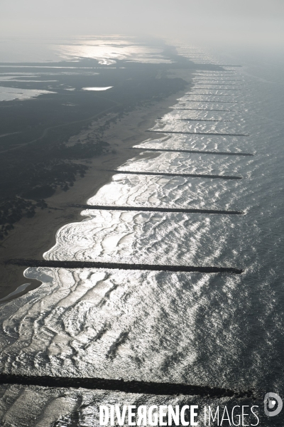 Aigues-Mortes et Port-Camargue