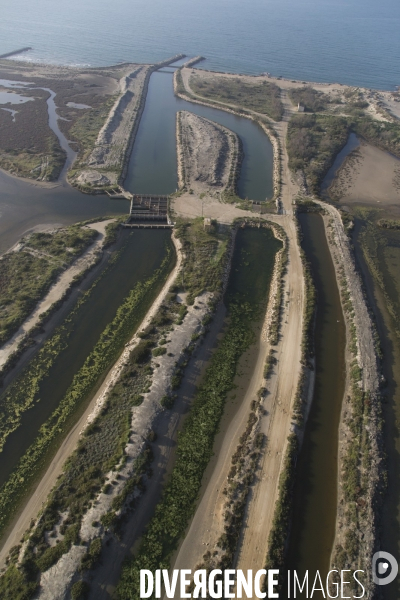 Aigues-Mortes et Port-Camargue